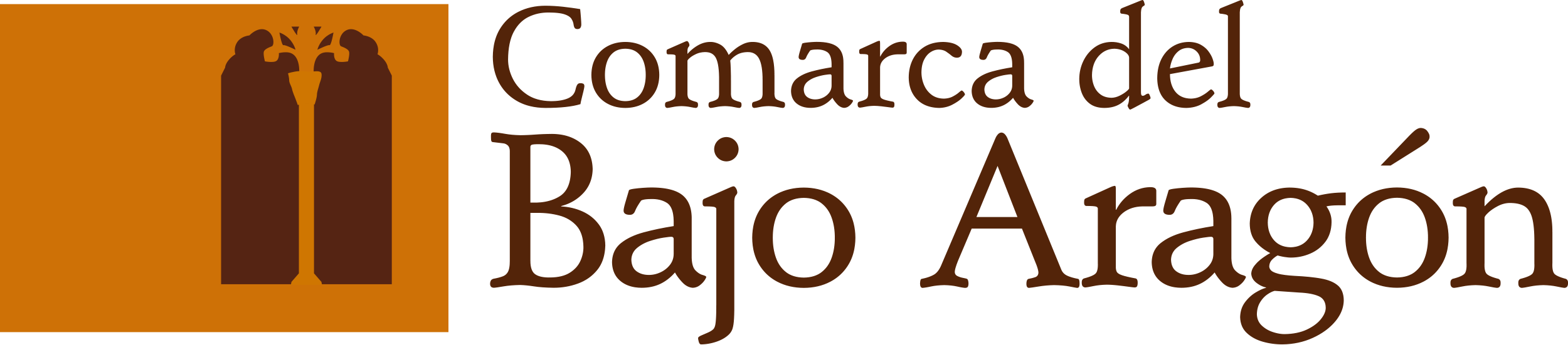 COMARCA BAJO ARAGÓN S. SOCIALES 
